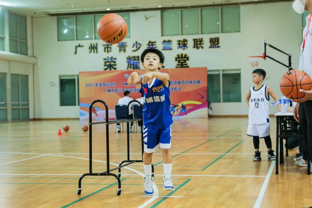青少年篮球训练的影响因素及对策研究_1