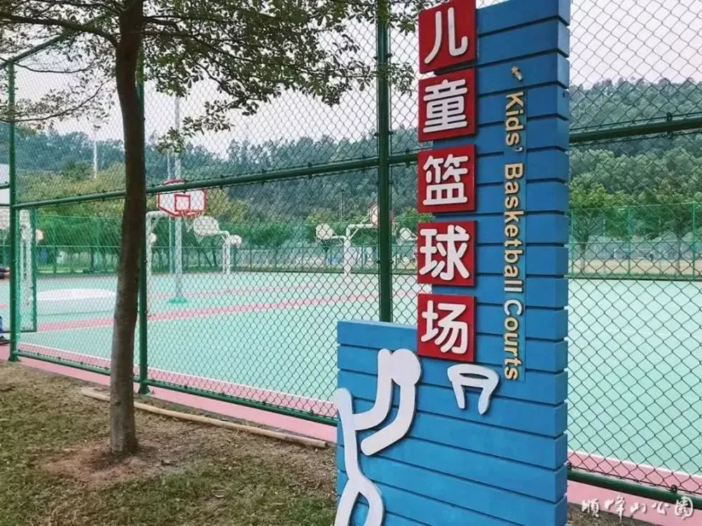 青少年篮球选手的心态管理技巧_1